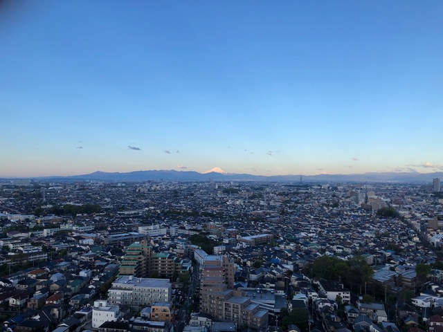 20200419_1.jpg