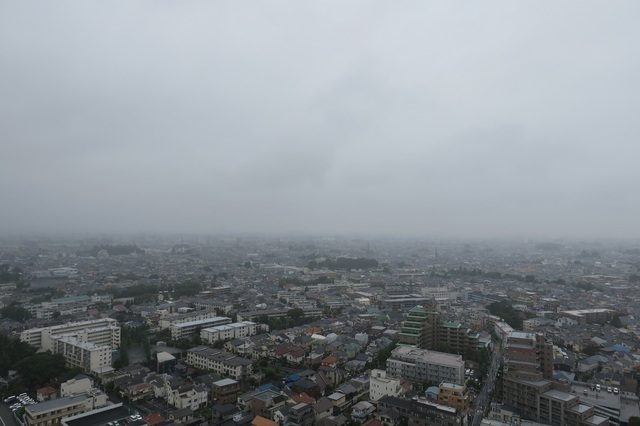 20200926_001.jpg