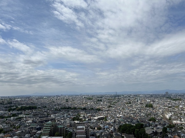20220423_003.jpg